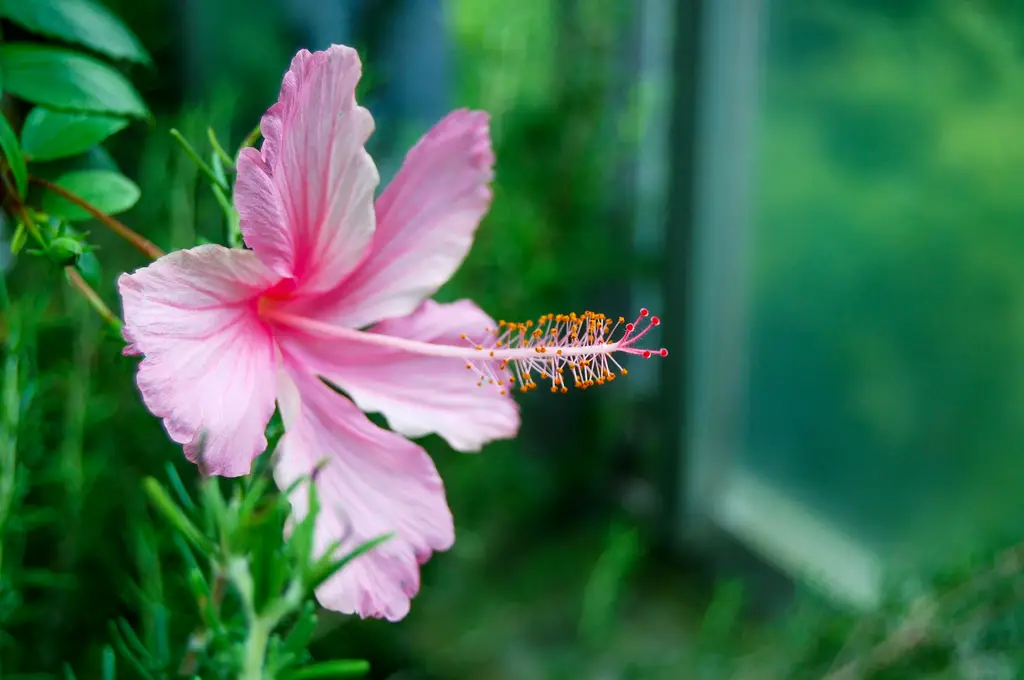親子歡樂地圖:台灣全攻略!